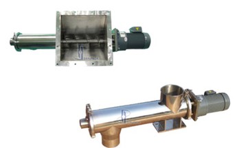 16144064081 16144064081